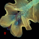 Image for article titled Marvel at 2013's best microscopic photography
